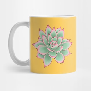 Echeveria. Mug